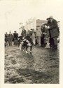 Image - Photograph of dog races