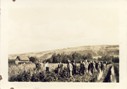 Image - Photograph of Early's Market Garden