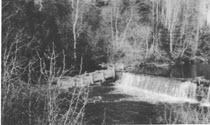 Image - Print, Photographic