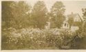 Image - Print, Photographic