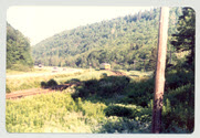 Image - Print, Photographic