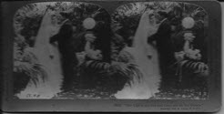 Image - Stereograph