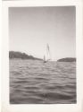 Image - Photograph, Print