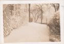 Image - Photograph, Print