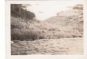 Image - Photograph, Print