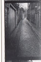 Image - Photograph: Print