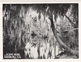 Image - Photograph: Print