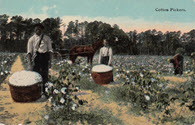 Image - Postcard