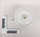 Image - Mug, Lidded