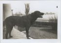 Image - Photograph, Print