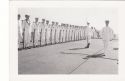Image - Photograph, Print