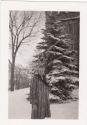 Image - Photograph, Print