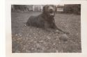 Image - Photograph, Print