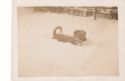 Image - Photograph, Print