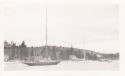 Image - Photograph, Print