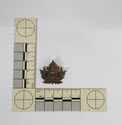 Image - Badge, Military