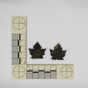 Image - Badge, Military