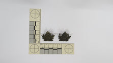 Image - Badge, Military