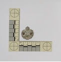 Image - Badge, Military
