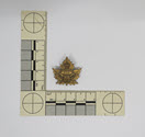 Image - Badge, Military