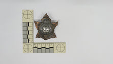 Image - Badge, Military