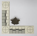 Image - Badge, Military