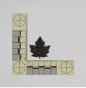 Image - Badge, Military