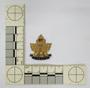 Image - Badge, Military