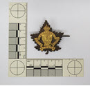 Image - Badge, Military