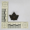 Image - Badge, Military