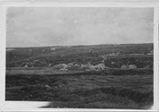 Image - Print, Photographic