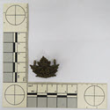 Image - Badge, Military