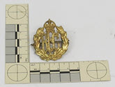 Image - Badge, Military