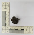 Image - Badge, Military