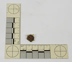 Image - Pin, Lapel
