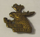 Image - Badge, Military