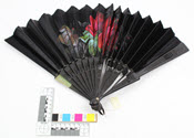 Image - Fan, Hand