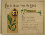 Image - Card, Greeting