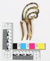 Image - Comb, Ornamental