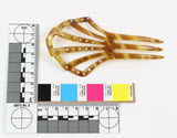 Image - Comb, Ornamental