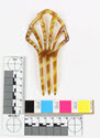 Image - Comb, Ornamental