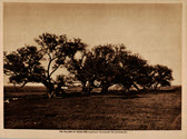 Image - Booklet