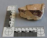 Image - Geospecimen