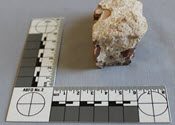 Image - Geospecimen