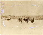 Image - Print, Photographic