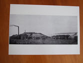 Image - Print, Photographic