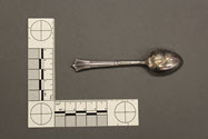 Image - Teaspoon Set