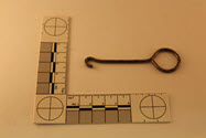 Image - Buttonhook