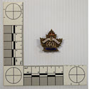 Image - Badge, Military