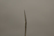 Image - Needle